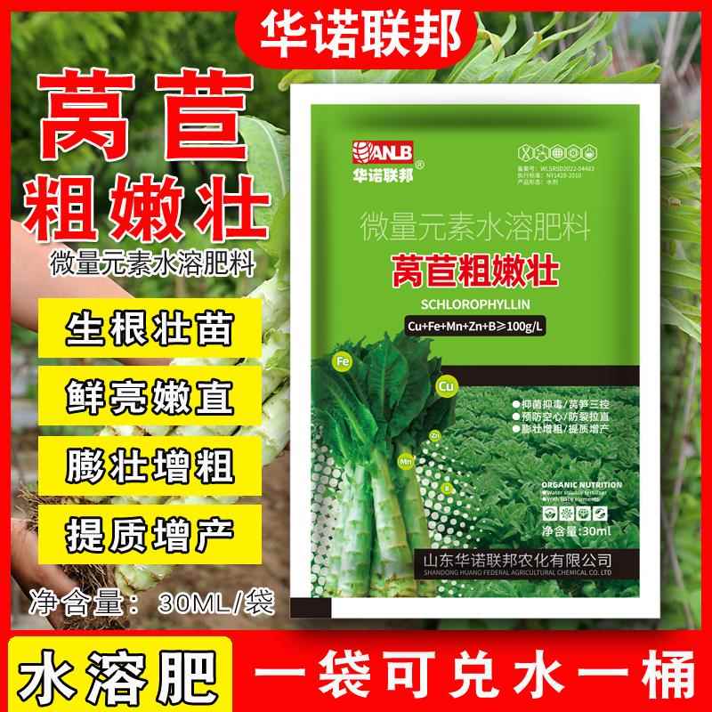 莴笋粗嫩壮莴苣膨大莴笋专用防裂防空心防抽苔水溶肥生根壮苗嫩绿