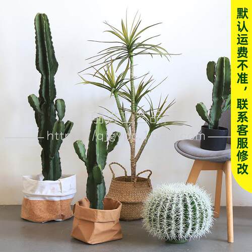 PU量天尺仙人掌多叉仙人掌仿真热带沙漠绿植盆栽橱窗装饰假仙人掌
