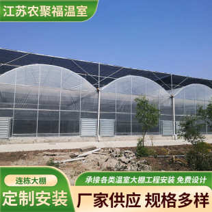 薄膜连栋温室大棚花卉育苗种植大棚农业蔬菜连栋温室大棚 厂家安装