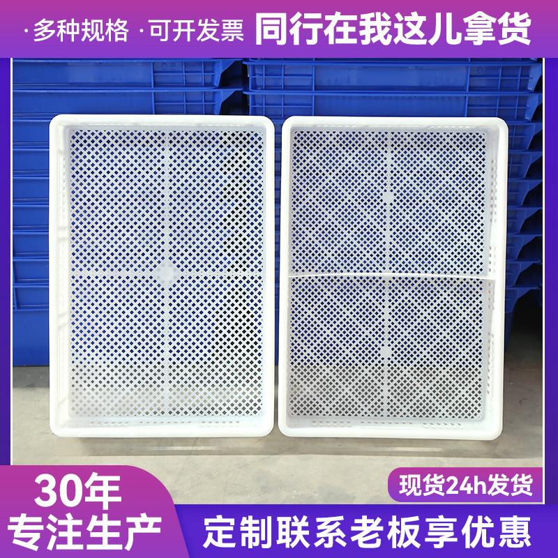 塑料周转筐加厚鸡苗筐鸭苗筐水果蔬菜蘑菇食品运输筐冷库冷冻筐