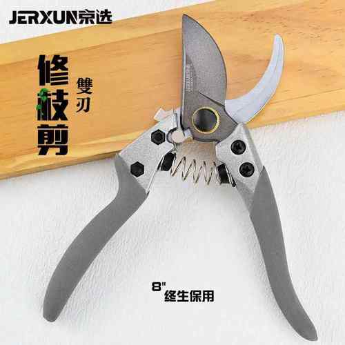 德国进口果树修剪专用修枝剪刀园林园艺家用省力剪子花卉树枝工具