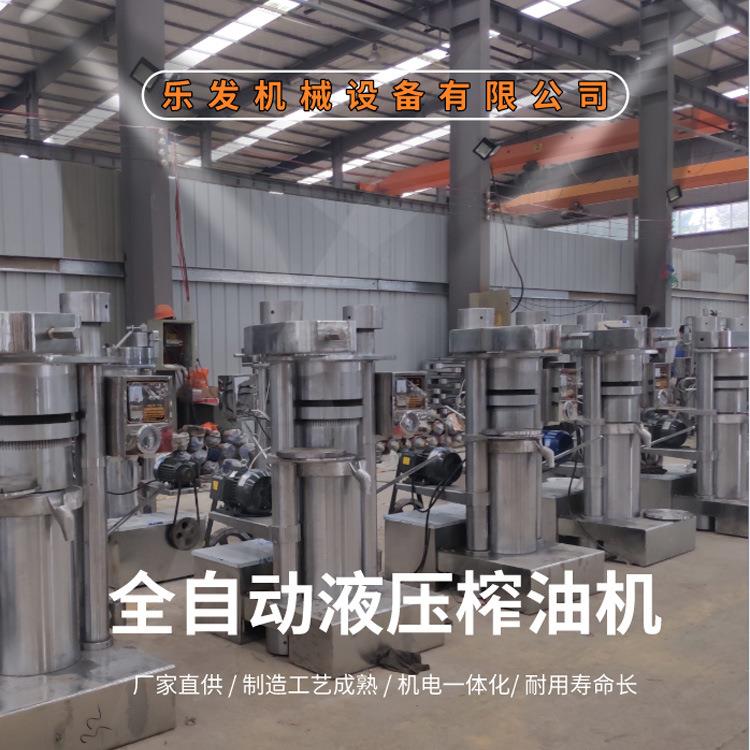 乐发 油坊来料榨油 核桃液压榨油机 快速出油 22斤型全自动榨油机