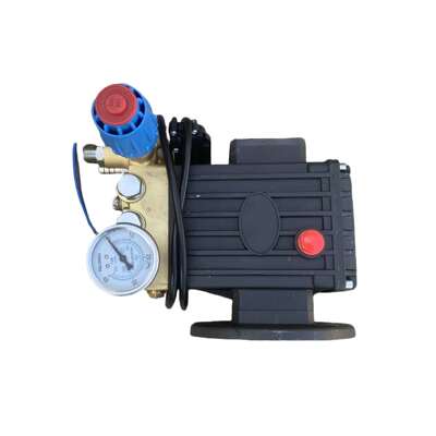 洗特3208清洗机原厂泵头（轴径24相距8对角11.5）-19142号