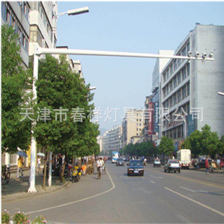 天津春祥灯具道路多种规格6*8米L型八棱锥杆监控杆龙门杆