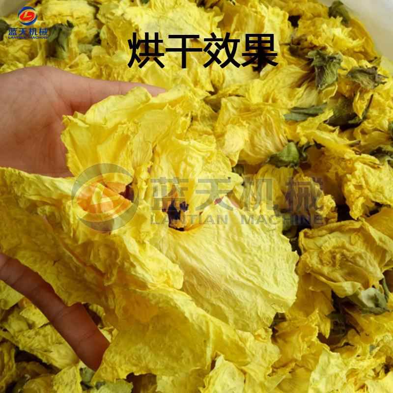 大型工业黄蜀葵烘产线秋葵黄QMO芙蓉烘干生设备网带干蜀葵烘黄干