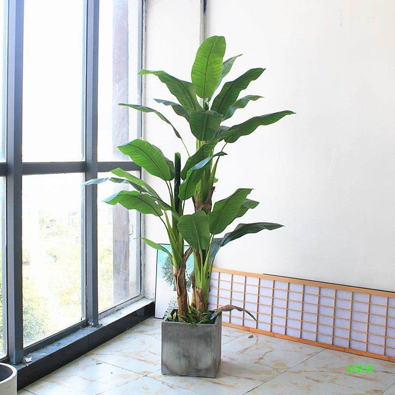 客香蕉落地造景餐厅绿植芭蕉装饰民宿树大物酒店假花橱窗