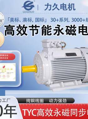 TYC起动转矩永磁同步电动机功率因数噪声小温升低应用油田