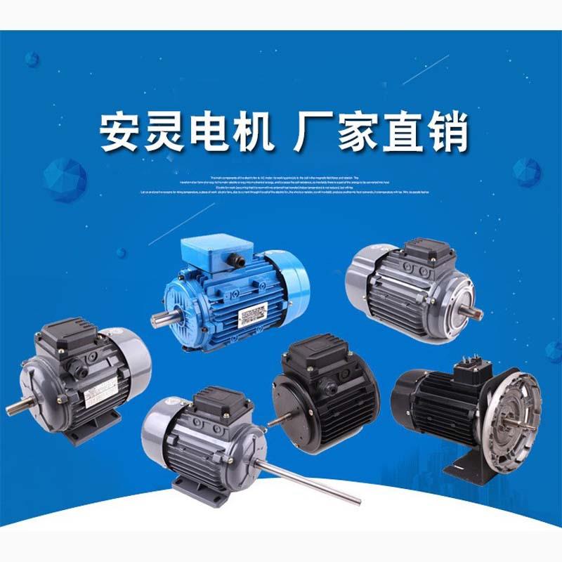 YY63系列120W/180W/252W单相电容起动电机单相电机电机厂家