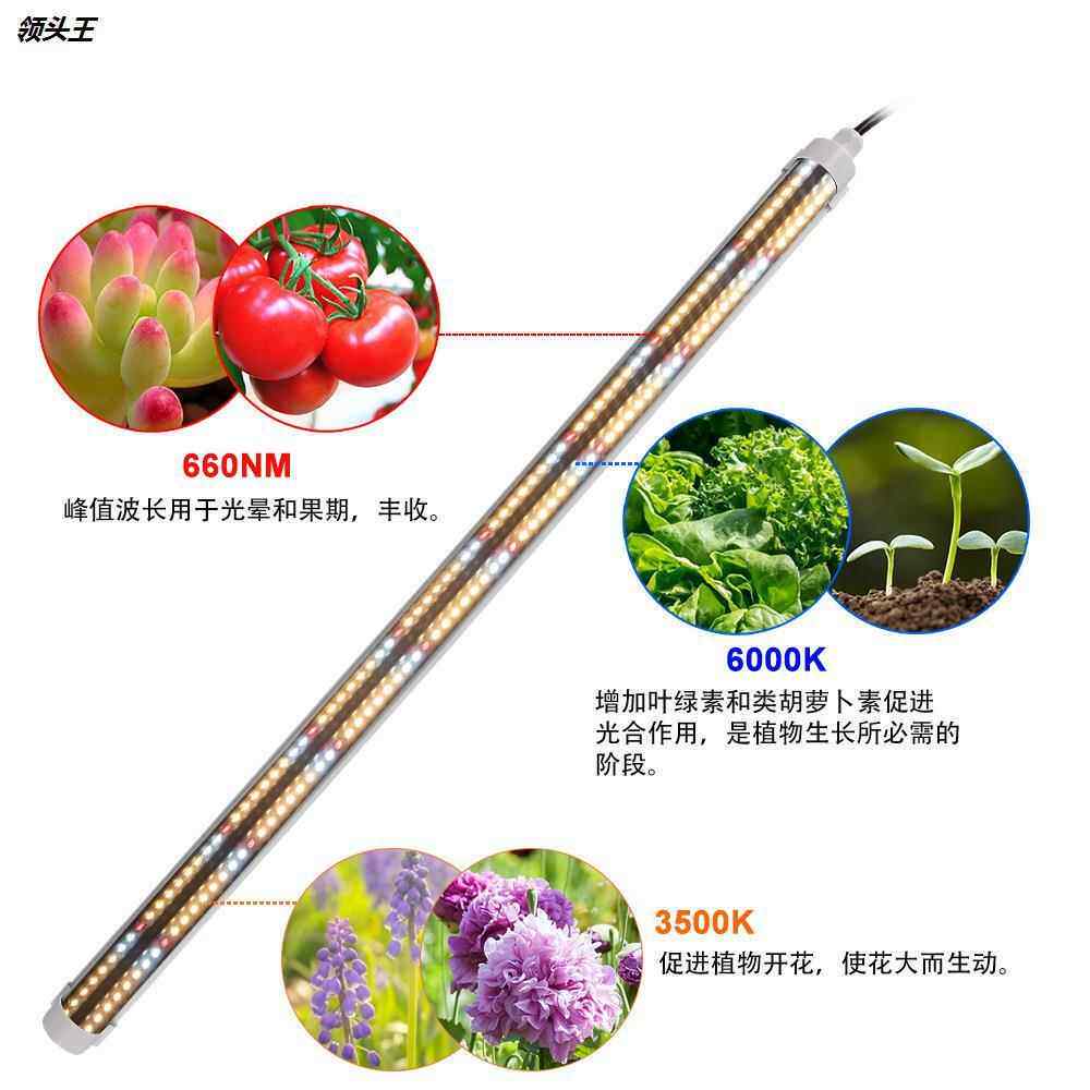 全光LED月谱季莓PSC茄多肉花卉蔬菜植物生长补光灯仿太阳草光番照