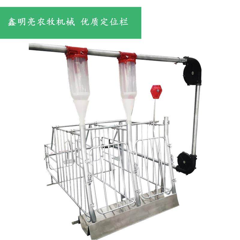 母猪限位栏猪用定位栏限位栏猪场养猪带食槽养猪设备母猪定位栏