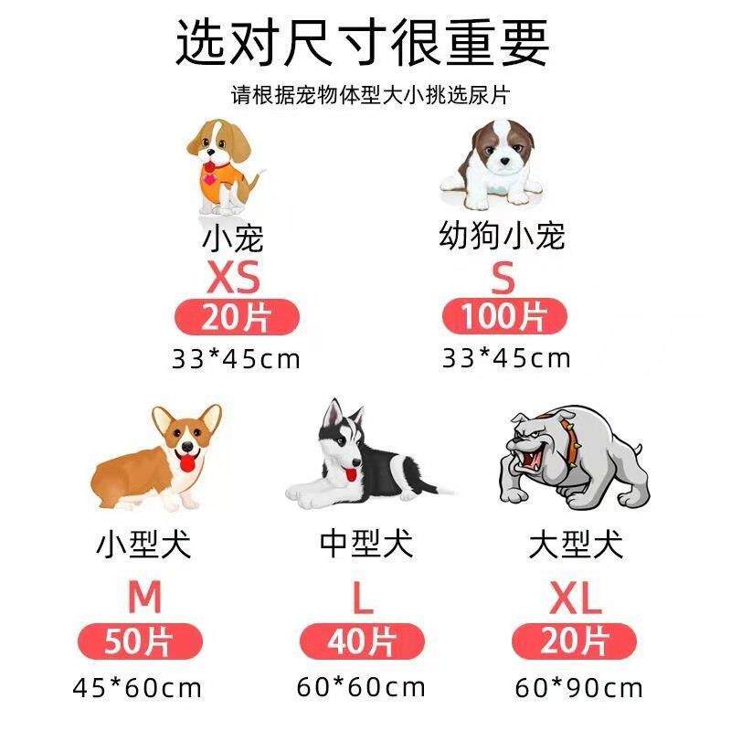 新款直销狗狗纸尿垫兔子尿片狗狗尿不湿泰迪隔尿垫博美宠物厕所清