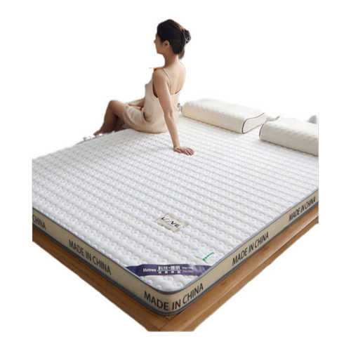 椰棕床垫遮盖物软垫家用床褥垫记忆棉学生宿舍租房榻榻米垫子