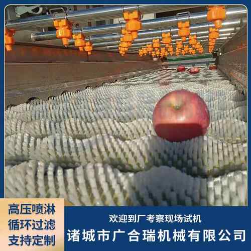LXZ商用脐平行毛辊清洗机大型红薯藕橙清洗打蜡设备莲姜大清洗去