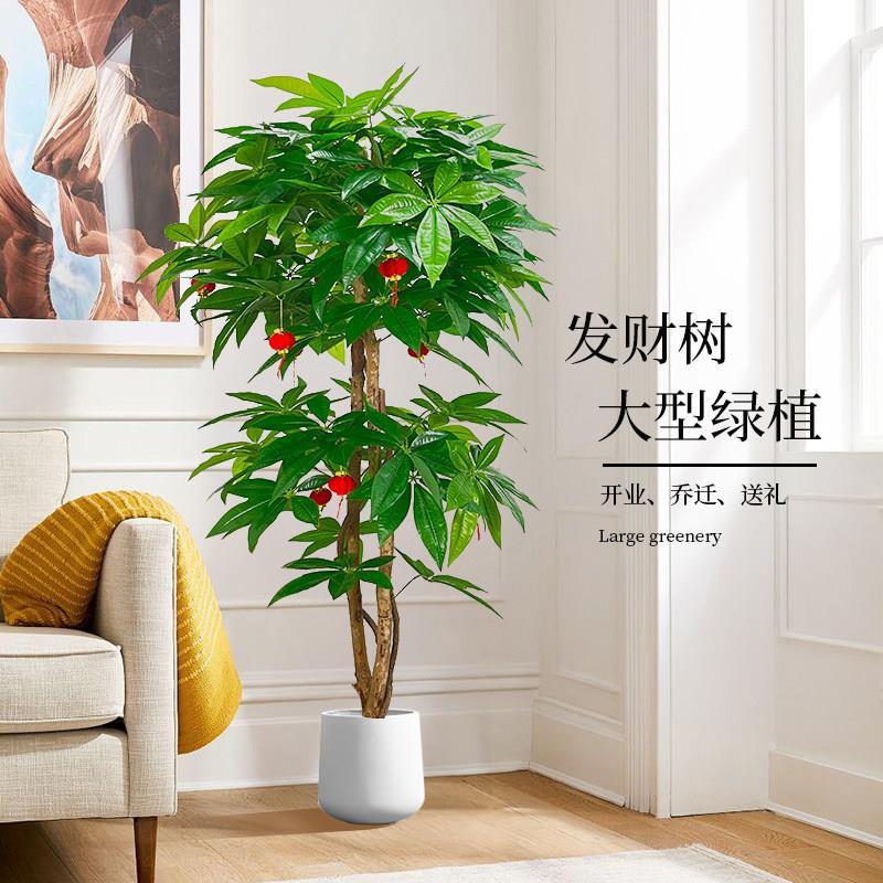彷真发财树盆景环保人造植物落地家庭商场布景花卉塑料装饰招财树