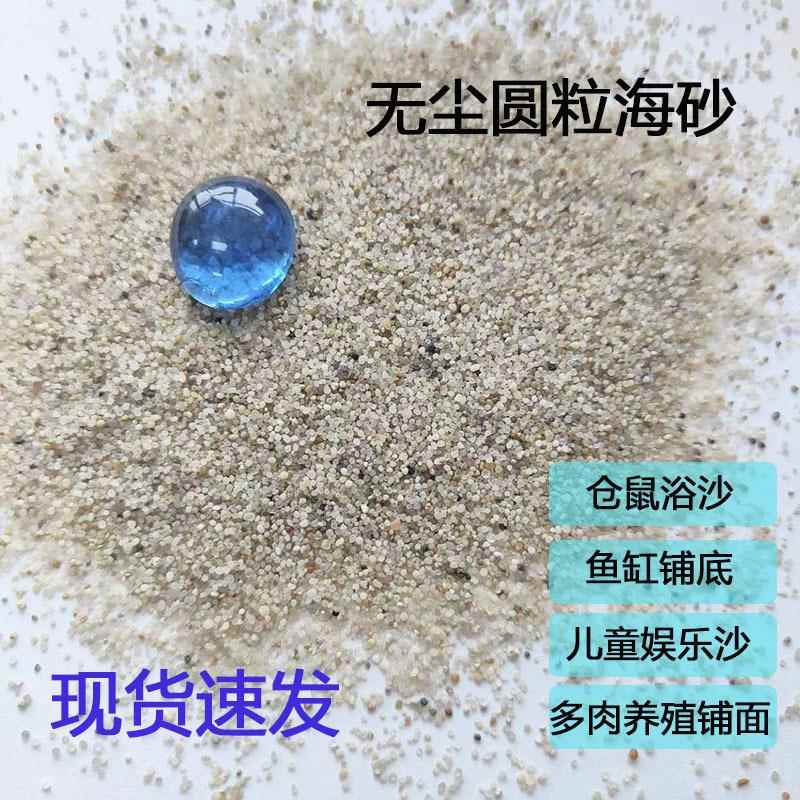 厂家供应无尘圆粒海沙儿童娱乐水洗海砂人工沙滩造景游乐场用沙子