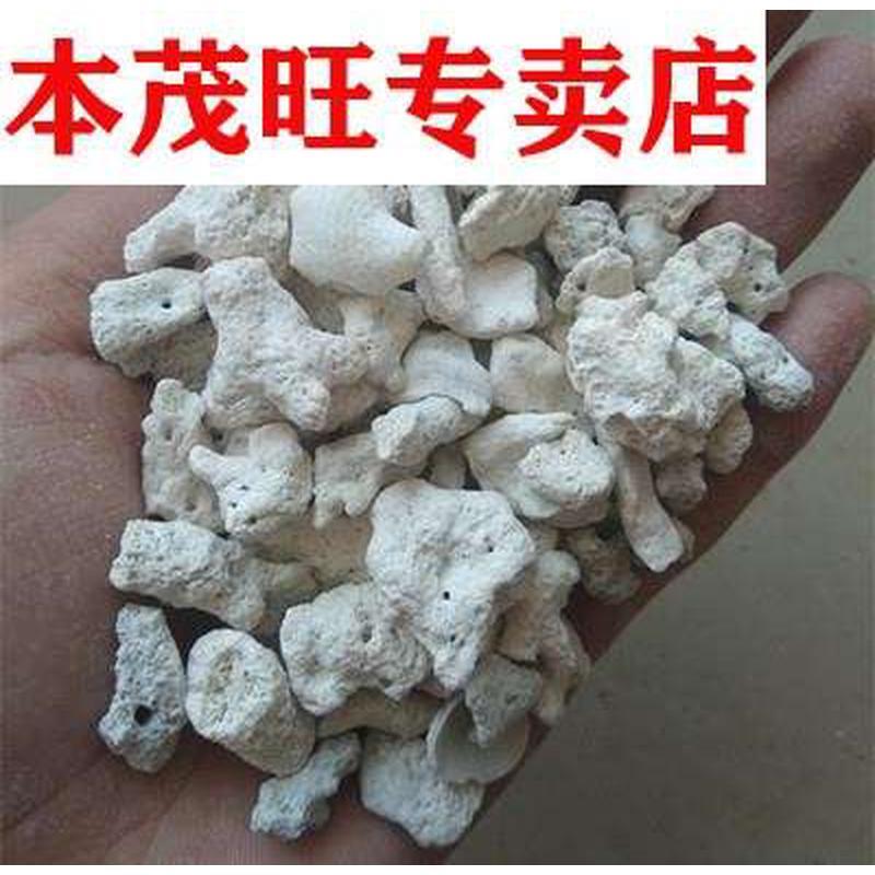 珊瑚石珊瑚砂菲律宾沙鱼缸过滤材料造景石珊瑚骨底沙5斤包邮