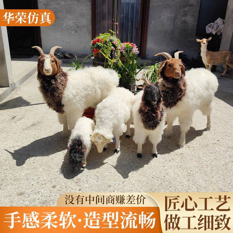仿真科尔沁绵羊动物模型牧场园林奶粉店工艺品摆件商店庭院摆件