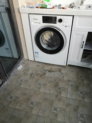 松下XQG100-EG120怎么样用后两天开始失望了是吗？