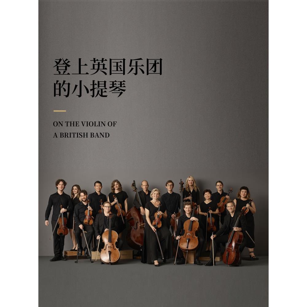 正品Disero德塞鲁167专业演奏级小提琴欧料纯手工乐团0艺演出表演