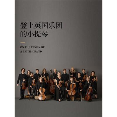高档Disero德塞鲁176专业演级小琴欧料奏纯0提手工乐团演出表演艺