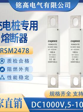 DC1000V充电桩熔断器RSM2478汽车熔断器(RS309,FWH100A,HEV)100A