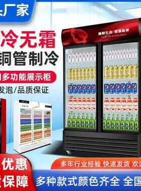 啤酒展示柜超市便利店大容量冷藏酒水柜单双门立式冷柜饮料柜