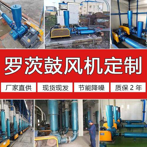 山东罗茨鼓风机150双油箱负压真空上料22KW污水曝气池三叶鼓风机