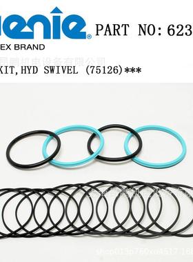 供应吉尼S100车型中心回转密封组件，原装件号62321