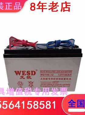WESD蓄电池WD100-12路灯系统 设备电源UPS应急12V100AH直流屏