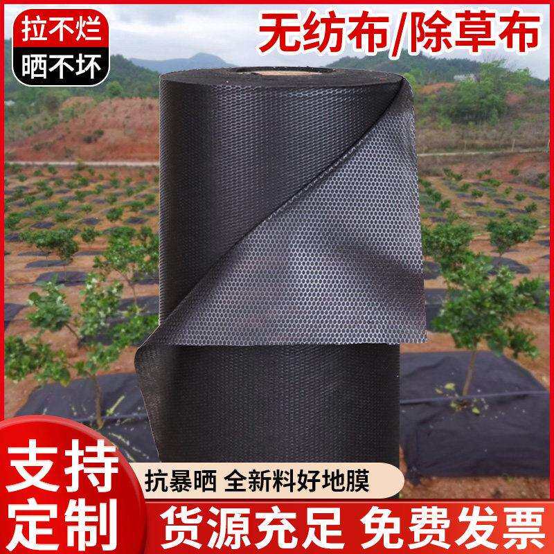 农用无布防草除布生态色草布切片果园树耐XKK用纺遮盖草地布钉透