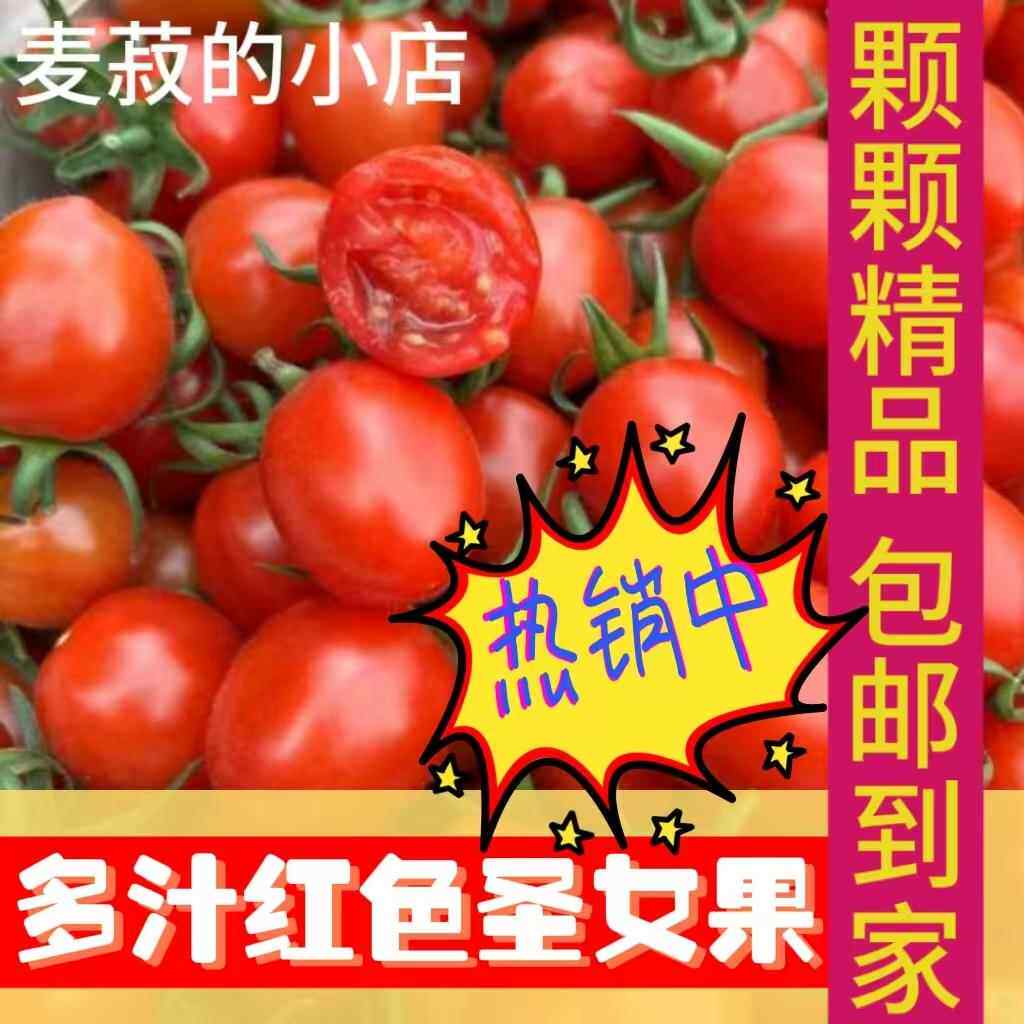云南楚雄红色圣女果清爽多汁小番茄