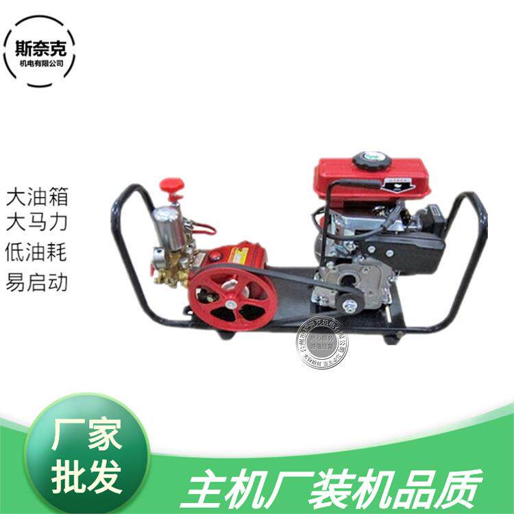 152F打药机 16 21型担架式高压机动喷雾器清洗机果树汽油机打药泵