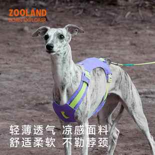 ZOOLAND狗狗胸背牵引绳遛幼小中大型犬泰迪柯基比熊边牧博美链子