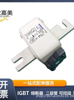 巴斯曼快速熔断器170M6258 170M6259 170M6260 170M6261 170M6262