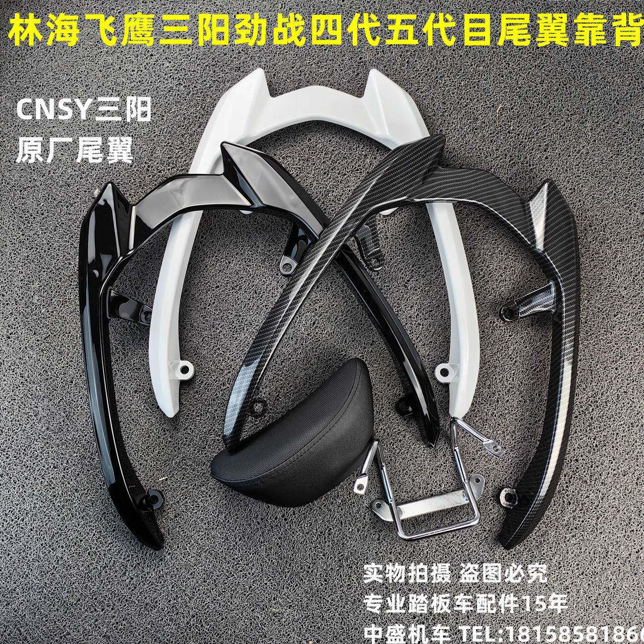 CNSY三阳F1飞鹰林海劲战四代目机车后货架油改电后扶手靠背尾翼