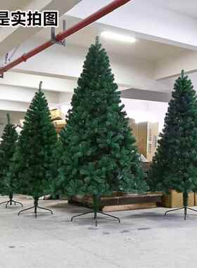 圣诞树2025年款式绿色定 制PVC大型圣诞节装饰品落地摆件客厅