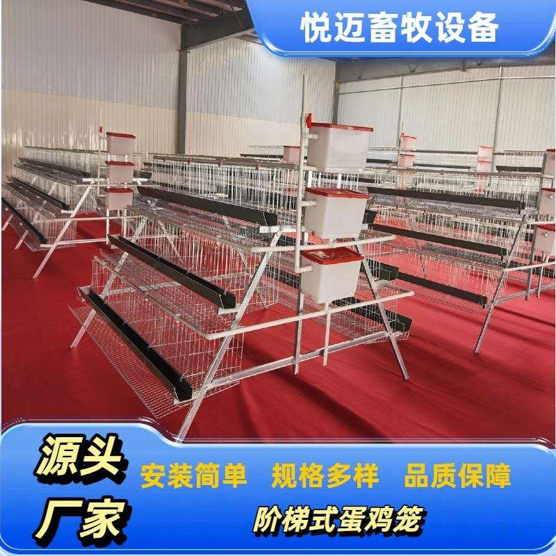 三层四层阶梯式蛋鸡笼A型鸡笼配件蛋鸡养殖笼阶梯式蛋鸡笼子全套