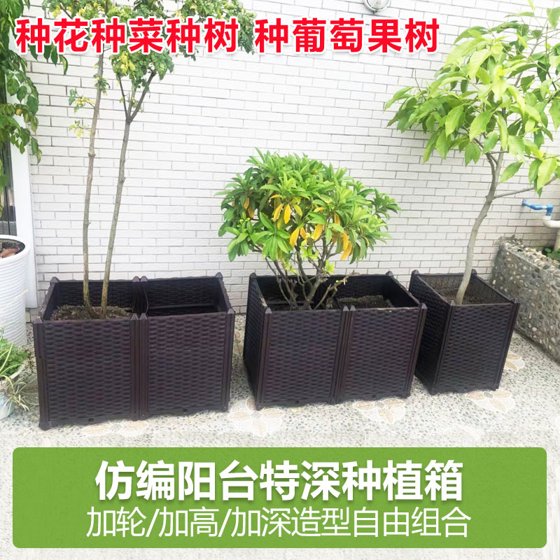 今森特深款葡萄果蔬种植箱家庭有机蔬菜种植槽阳台种菜盆花盆花箱
