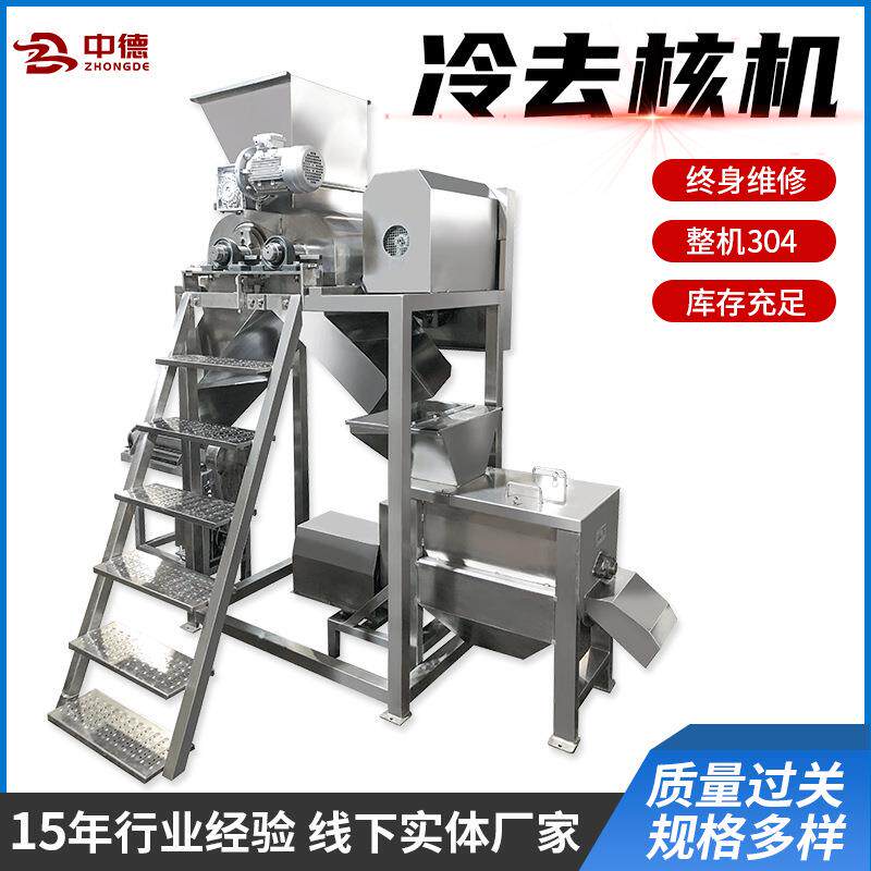 厂家供应青梅仁果类大型冷去核机组全自动青梅去核榨汁流水线果蔬