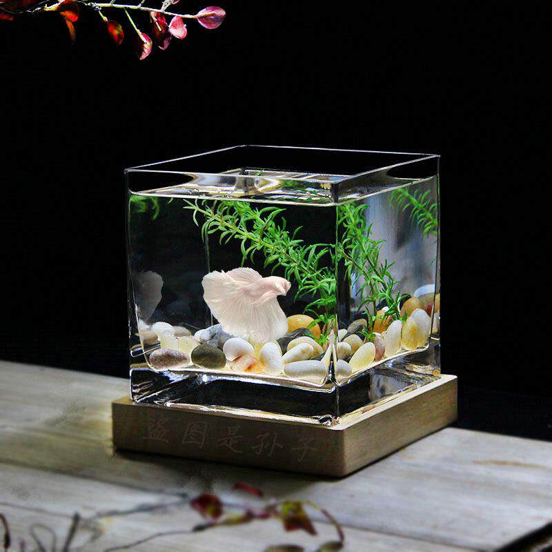 斗鱼缸方形玻璃鱼缸方缸水培器皿花瓶桌面装饰摆饰高白玻璃加厚款