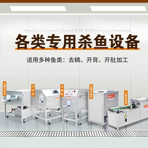 大型鱼类开背机全套自动鱼类深加工设备水产去鳞开背机器厂家