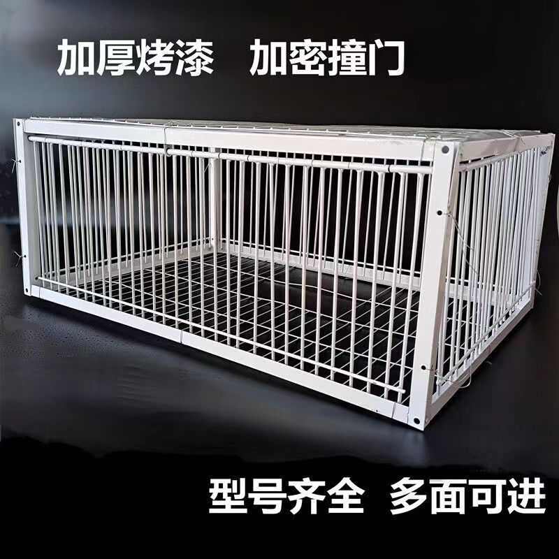 天落笼加密只进不出鸽子笼鸽子活络撞门笼自动收鸽天落笼鸽子神器