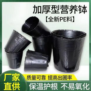 营养育苗杯加厚超厚营养钵耐用果树槟榔育苗袋一次性黑色种树袋