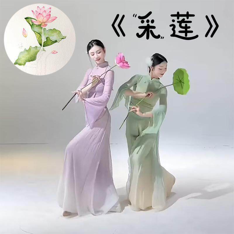 真荷叶荷花古典舞采莲舞蹈入莲间手持荷叶成人儿童舞蹈装饰道具
