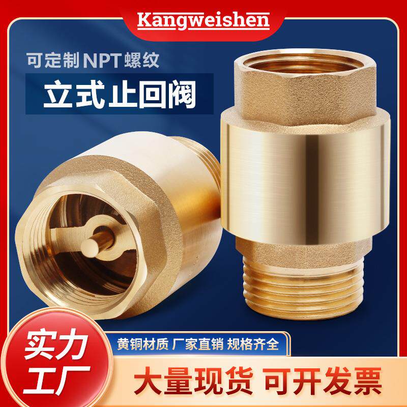 铜锻造加厚防反水自吸泵单向阀水管螺纹平装内外丝弹簧立式止回阀