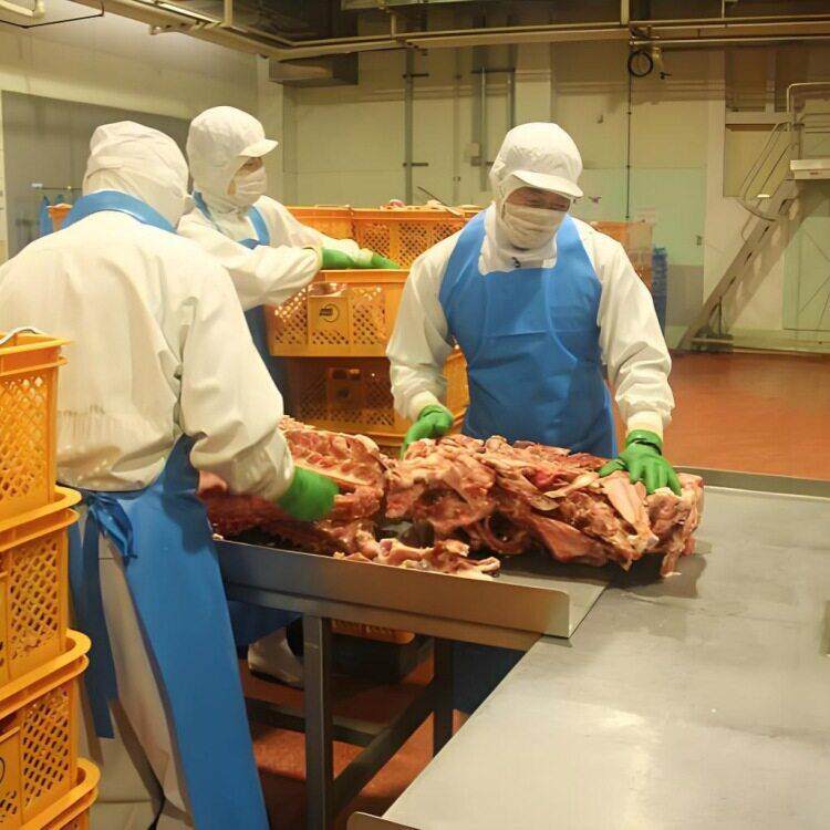 理全自动鸡汤猪骨JH-3000生牛肉汤料工包加产线 汤预制料卤煮设备