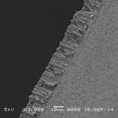 VZD聚碳酸酯薄膜 CTPE Disc2 13mm 疏水 0.1μm-14μm GSV 64-333