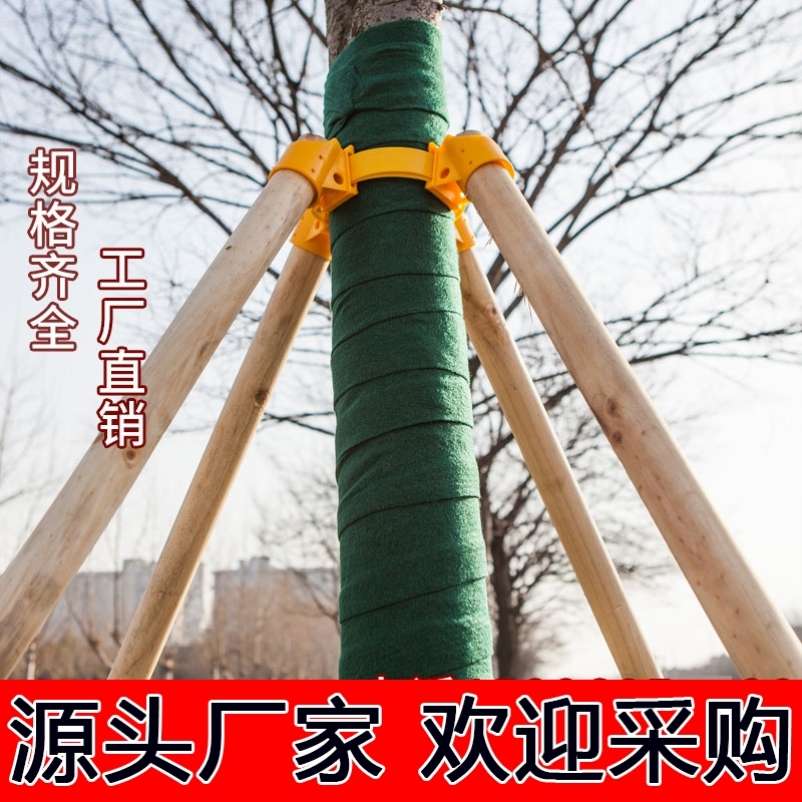 杉木稳定固定器杆防风松木树木支撑架套装防倒杨木棍支架园林绿化