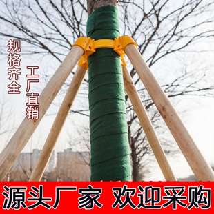 防倒杨木棍支架园林绿化 杉木稳定固定器杆防风松木树木支撑架套装