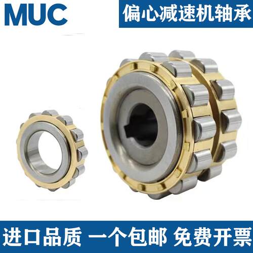 摆线针轮减速机偏心套轴承RN204 205 206 307 309 312 M 带偏心轴